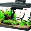 Aqueon Aquarium Fish Tank Starter Kit with LED Lighting 10 Gallon Fish Tank - Image 2