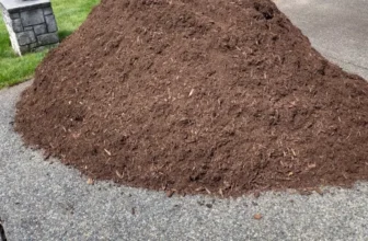 What Are the Best Organic Methods for Lawn Maintenance?