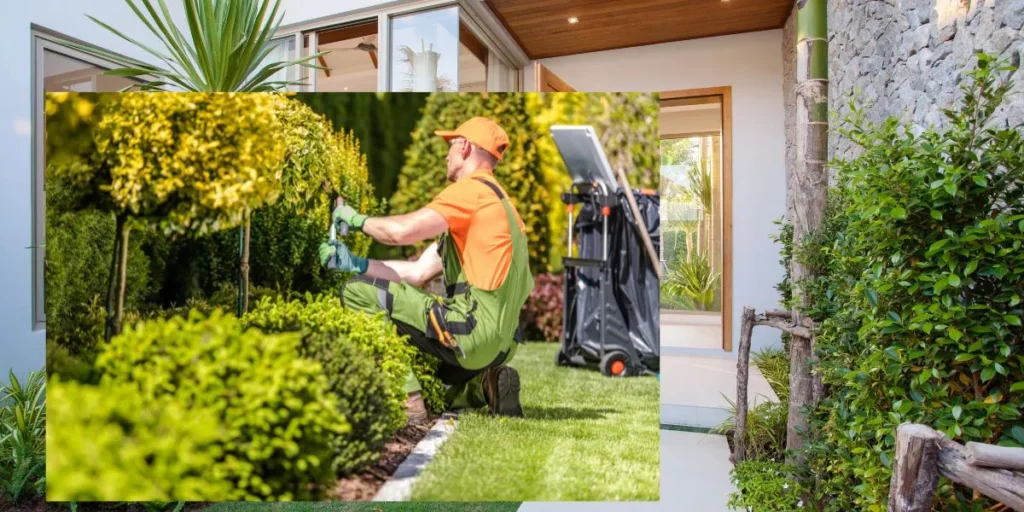 Achieving Balance Between Hardscaping and Softscaping Achieving Balance Between Hardscaping and Softscaping