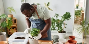 What Are the Best Soil Mixes for Indoor Gardening?